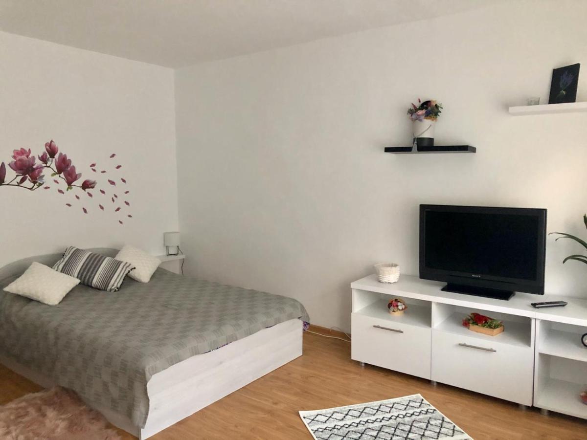 피테슈티 Mia'S House 아파트 외부 사진