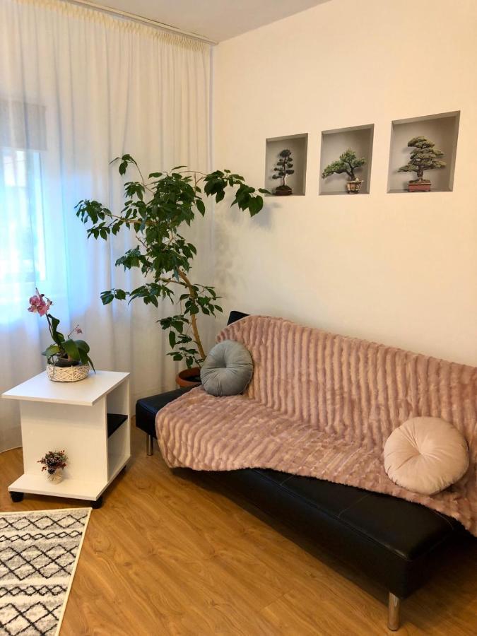 피테슈티 Mia'S House 아파트 외부 사진